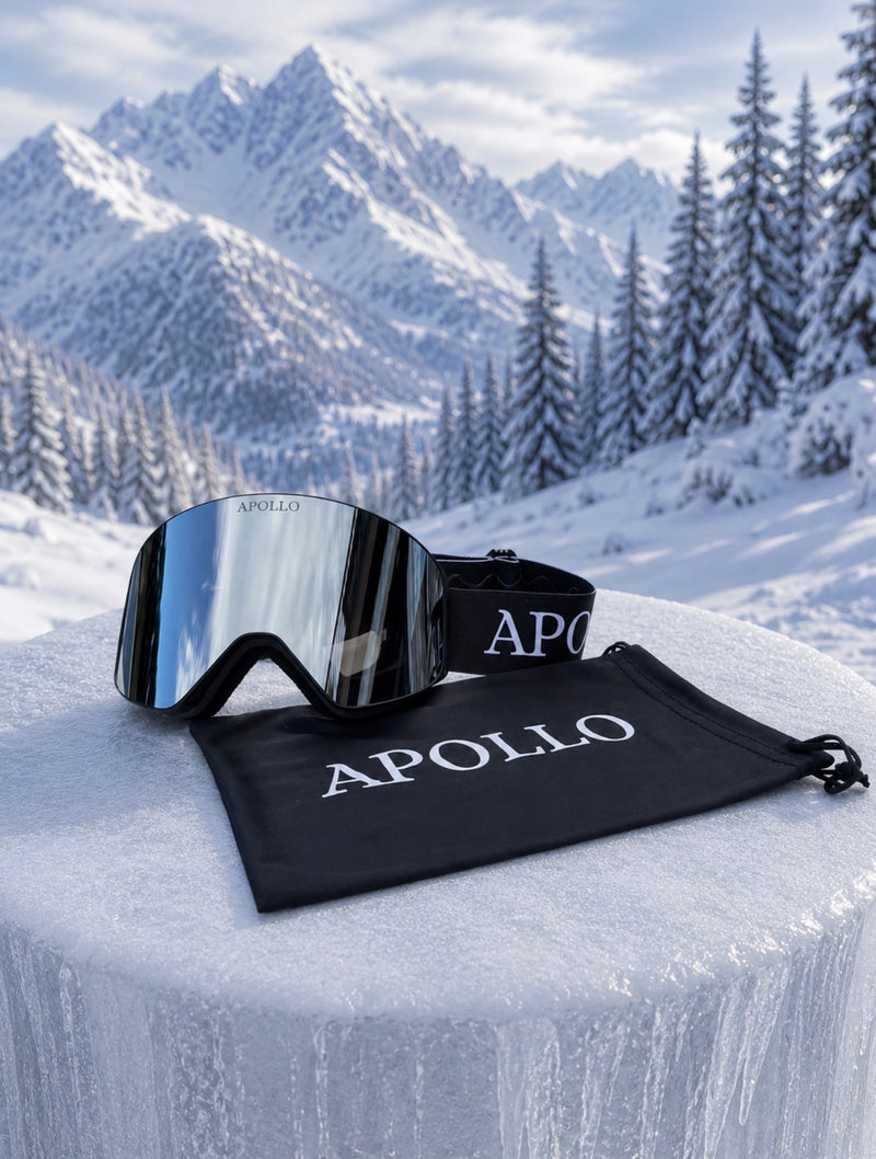 Chrome Magnetic Ski Goggles V3