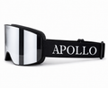 Chrome Magnetic Ski Goggles V3